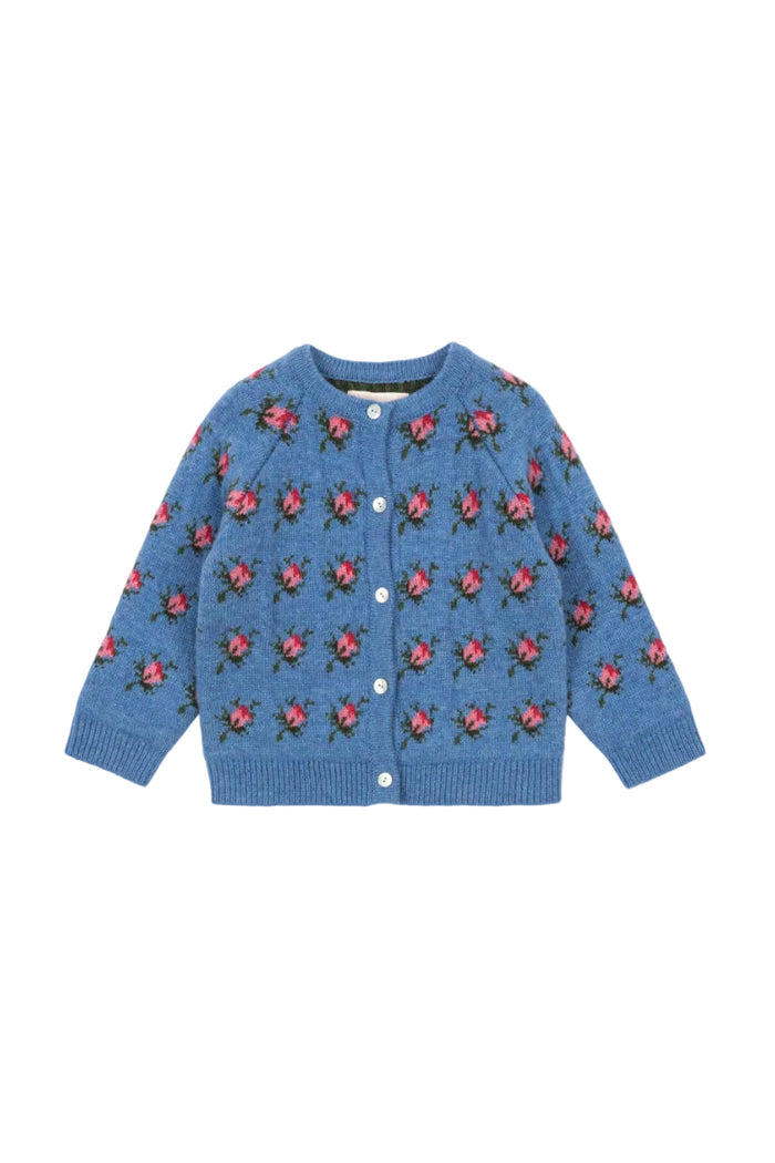 Blue cardigan with red floral pattern on a white background