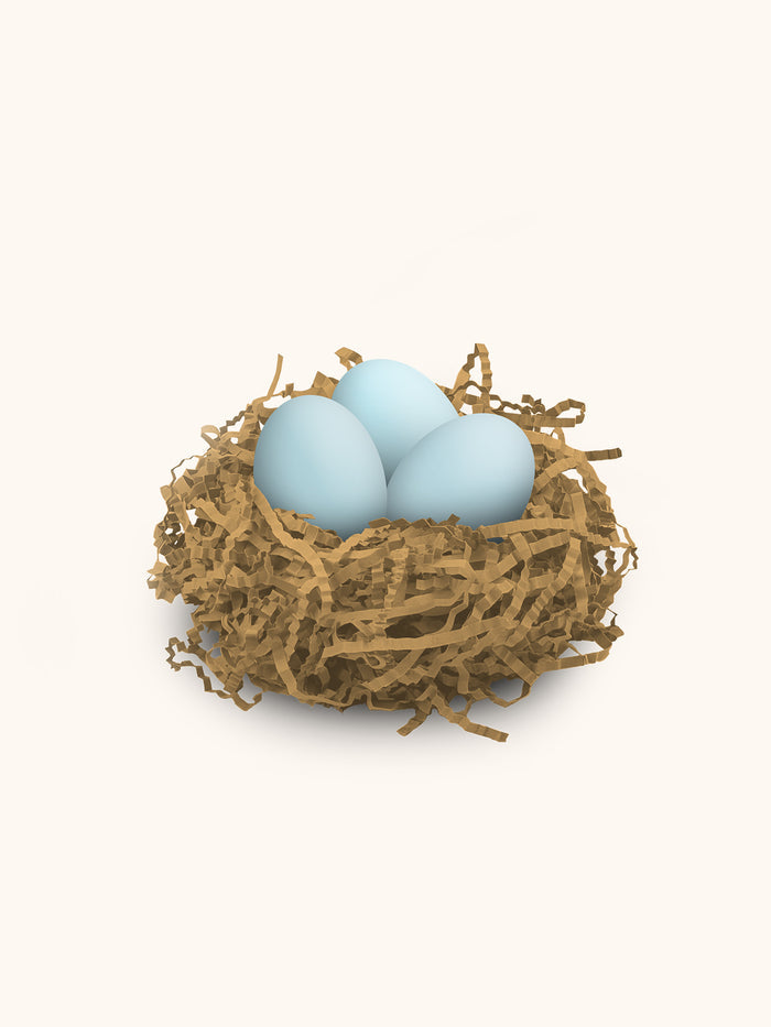 Best Mom Ever Flowers Bird Egg Bath Bombs