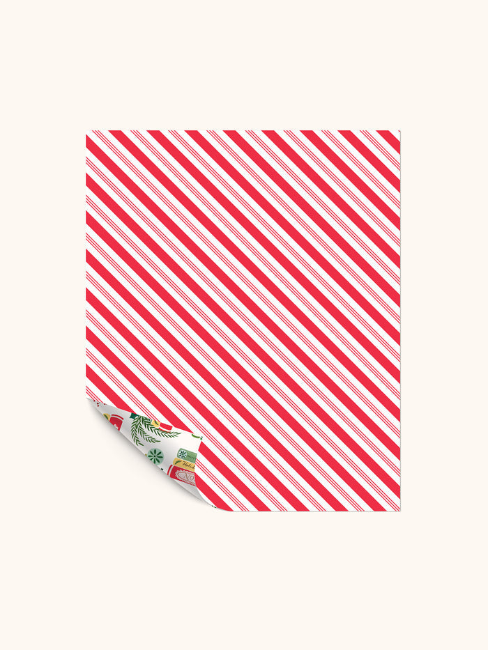 Bookish Christmas Reversible Gift Wrap