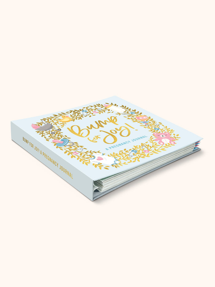 Bump For Joy Guided Journal (Blue)