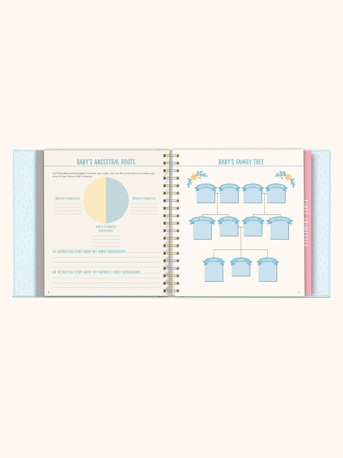 Bump For Joy Guided Journal (Blue)
