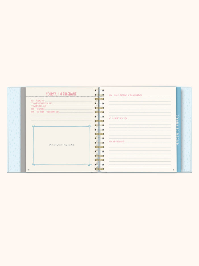 Bump For Joy Guided Journal (Blue)