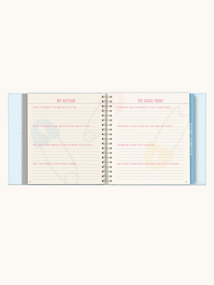 Bump For Joy Guided Journal (Blue)