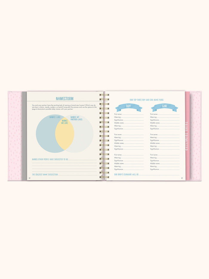 Bump For Joy Guided Journal (Pink)