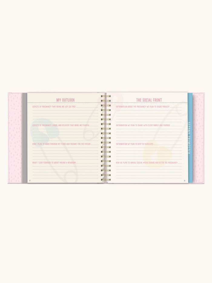 Bump For Joy Guided Journal (Pink)