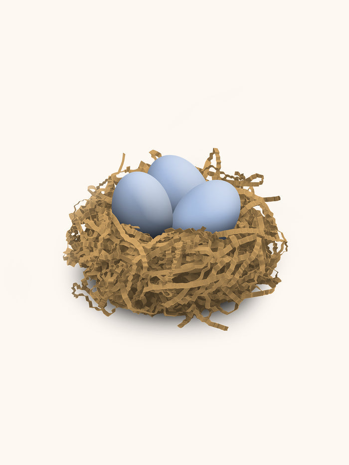Bunny Tails Bird Egg Bath Bombs
