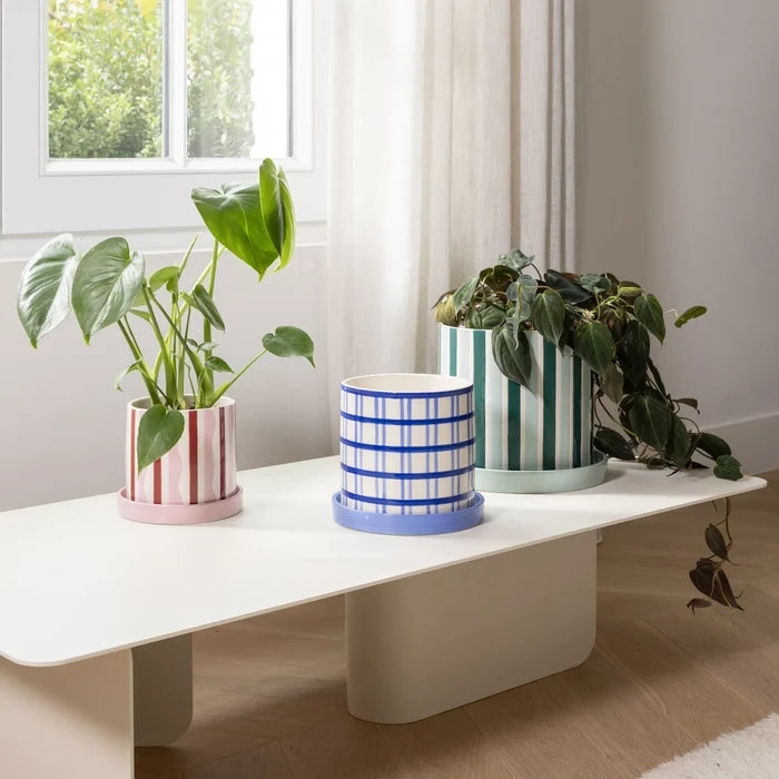 Clash Planter (Wiggle)