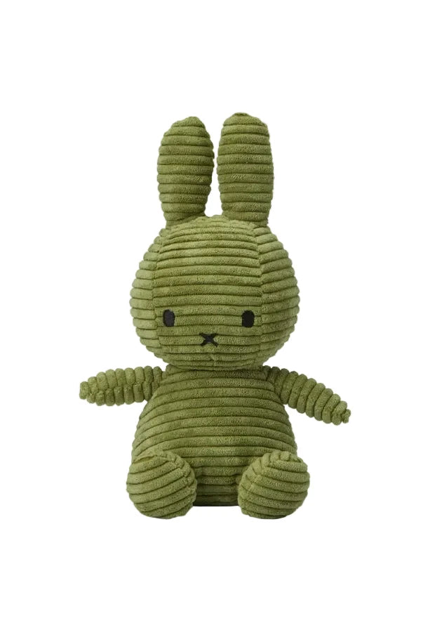 Green plush bunny toy on a white background