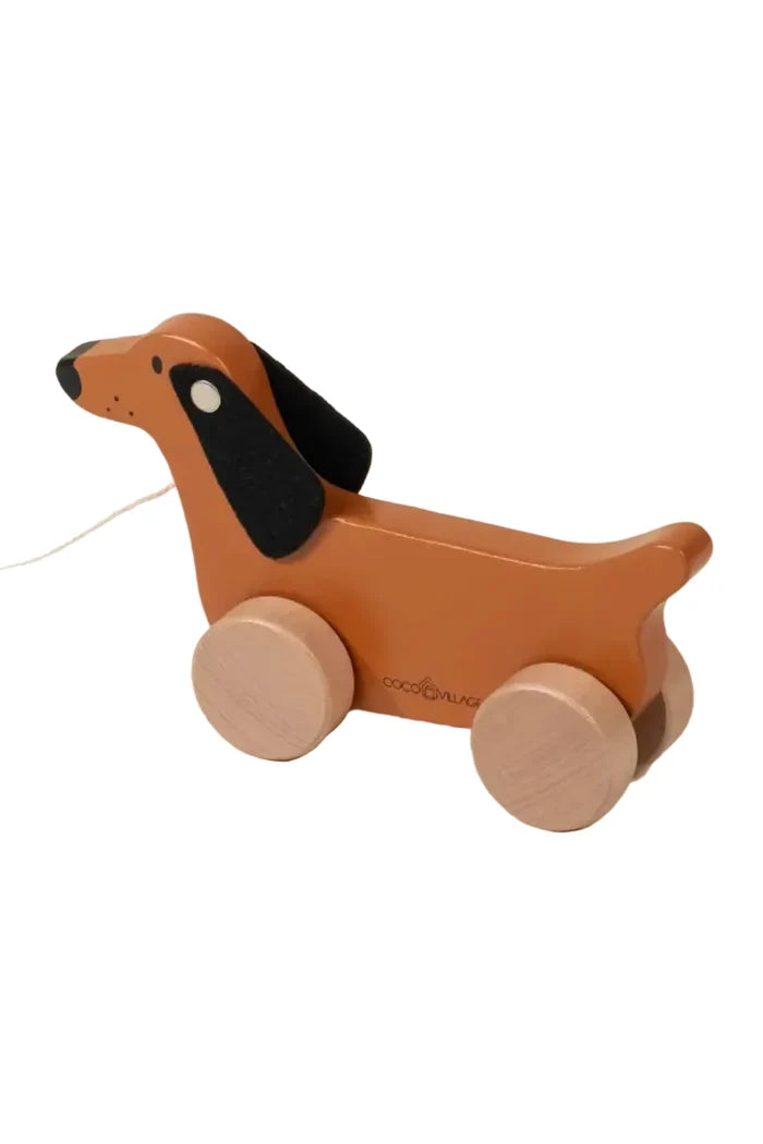 Wooden dog pull toy on white background