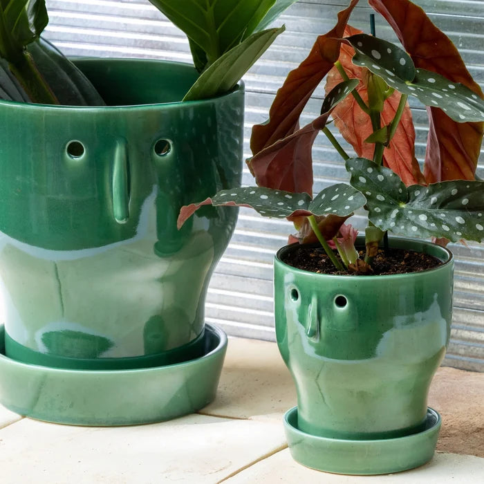 Fnoobie Pot (Large)