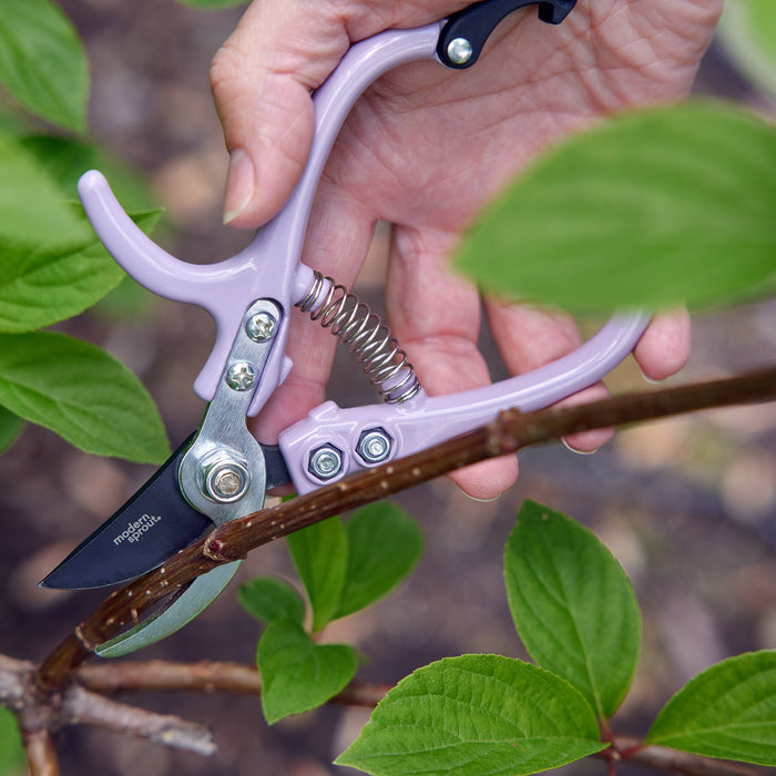 Garden Pruners (Various)