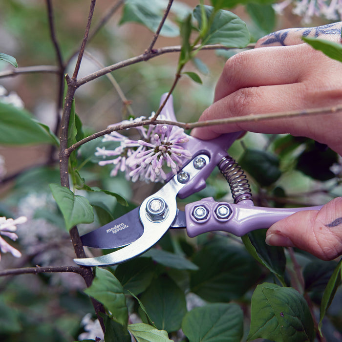 Garden Pruners (Various)