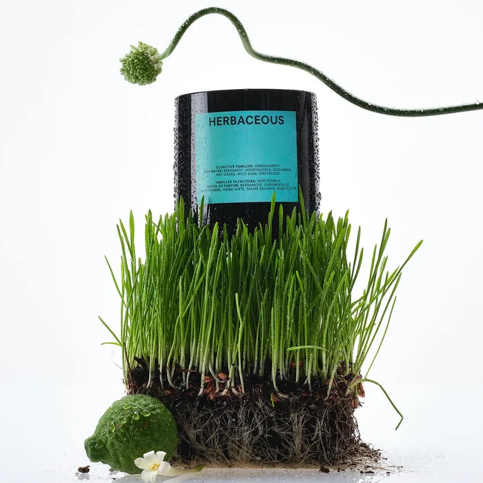 Herbaceous Candle