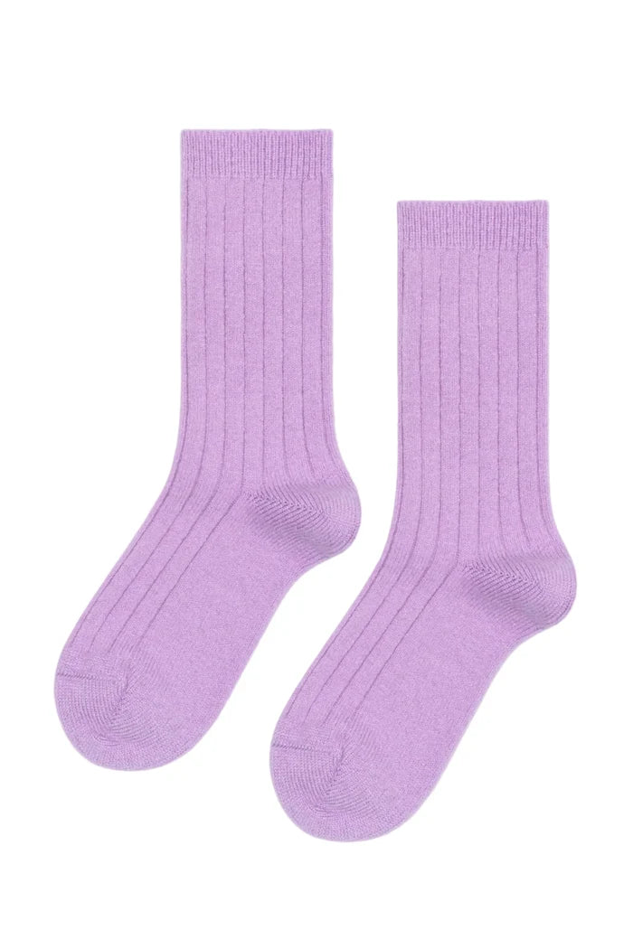 Pair of purple socks on a white background