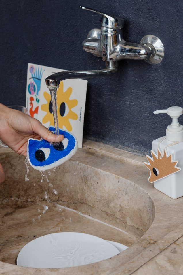 Kitchen Scrubber Set