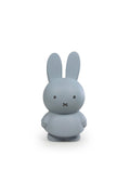 Medium Atelier Pierre Miffy Coin Bank (Silver Blue)