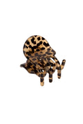 Mini claw clip with leopard print imitation acetate