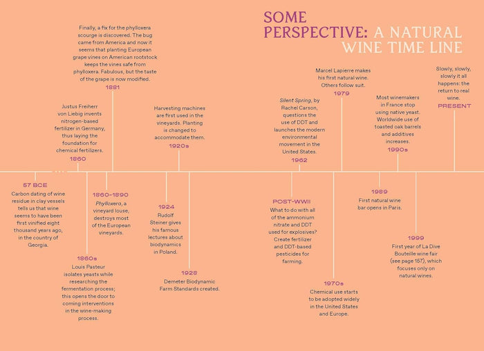 Natural Wine for The People