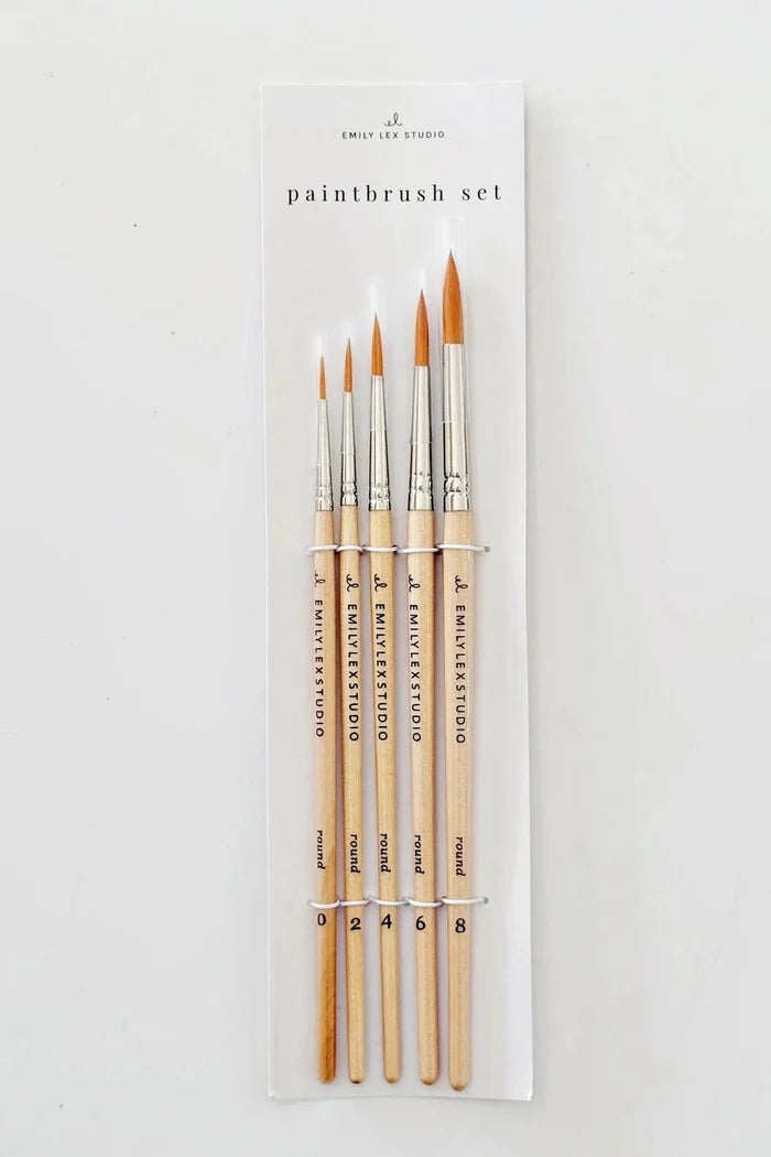 Set of 5 paintbrushes on paper packaging