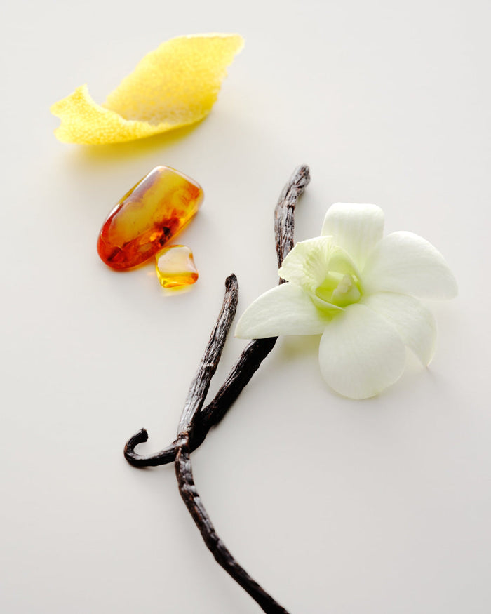 Perfume Oil (No. 15 Vanille Infinie)