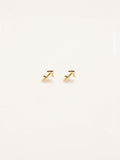 Sagittarius Zodiac Earrings