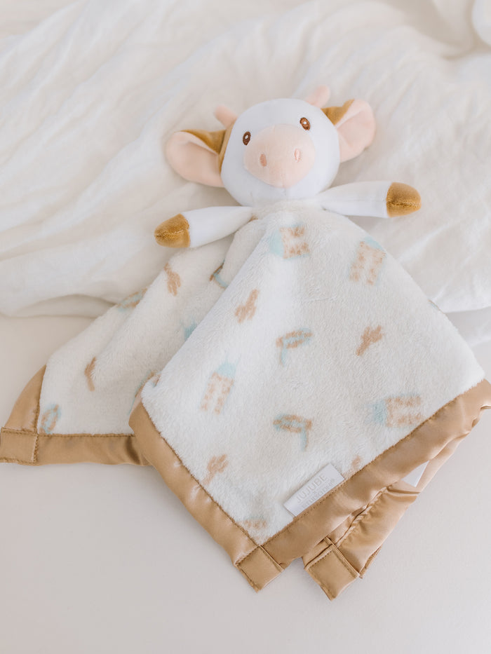 Security Blanket - Howdy Partner Blue