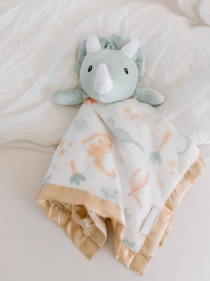 Security Blanket - Roarsome