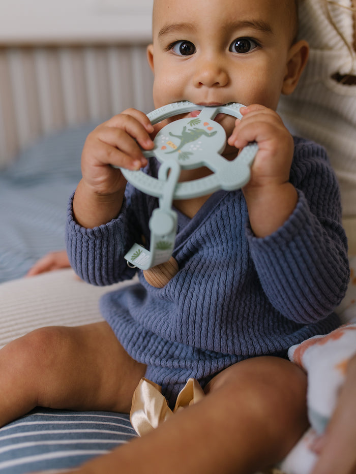 Silicone Teether Ring - Roarsome