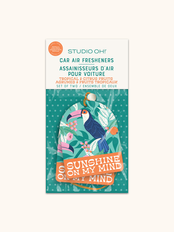 Sunshine on My Mind Car Air Freshener