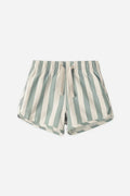 Striped swim shorts on a white background