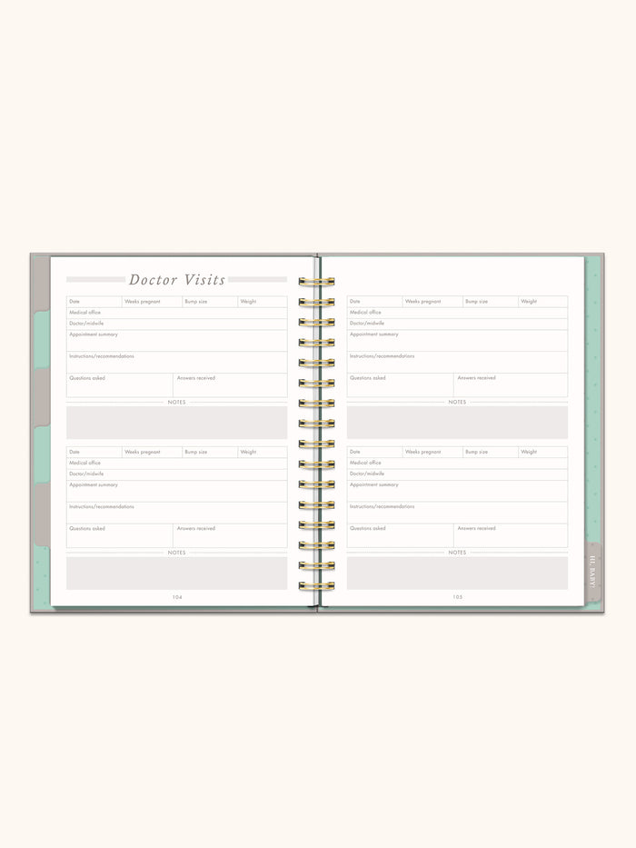 Undated Pregnancy Planner & Journal