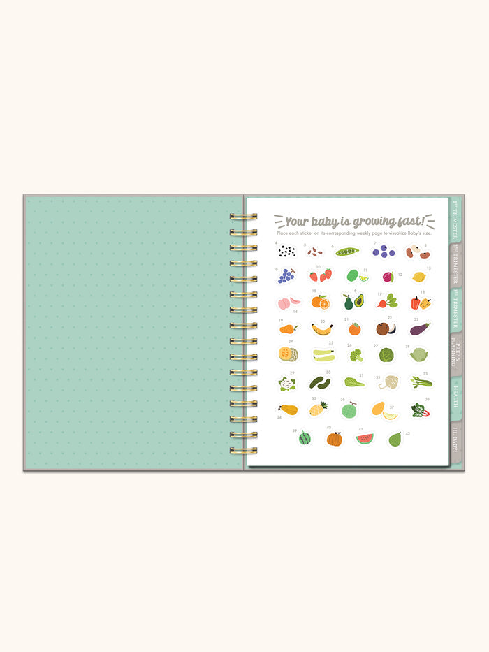 Undated Pregnancy Planner & Journal
