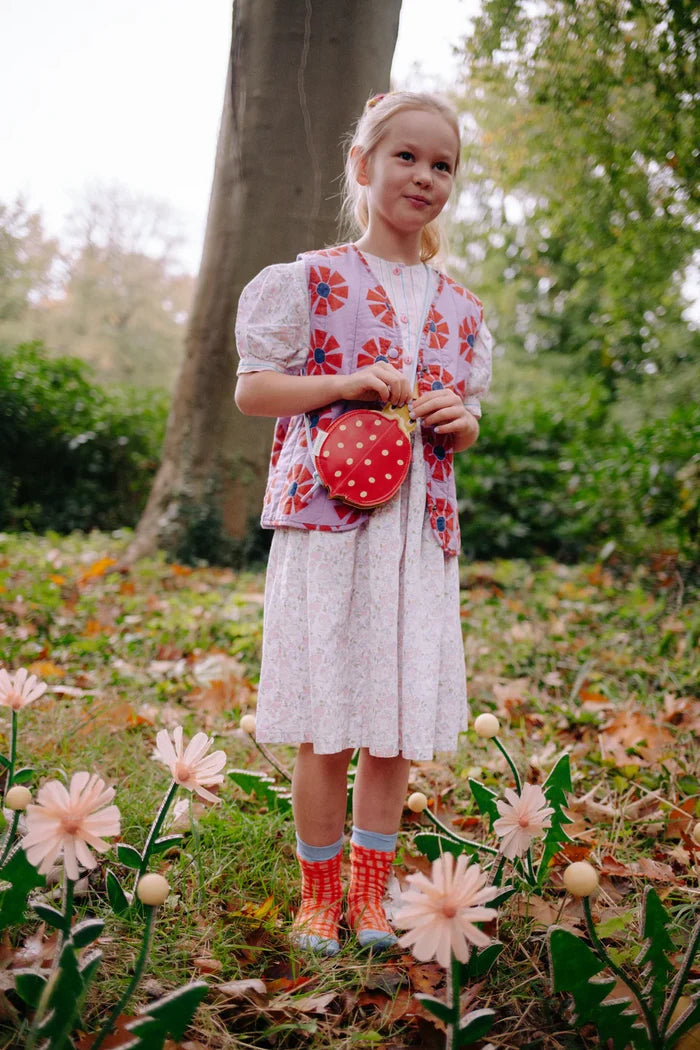 Wallet Bag (Ladybird)